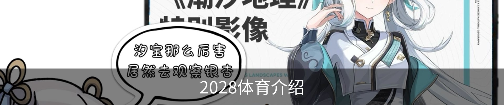 2028体育介绍